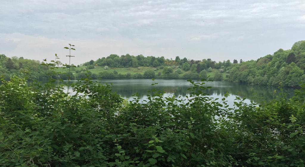 Fewo-Eifel-Mediterran Lägenhet Schalkenmehren Rum bild